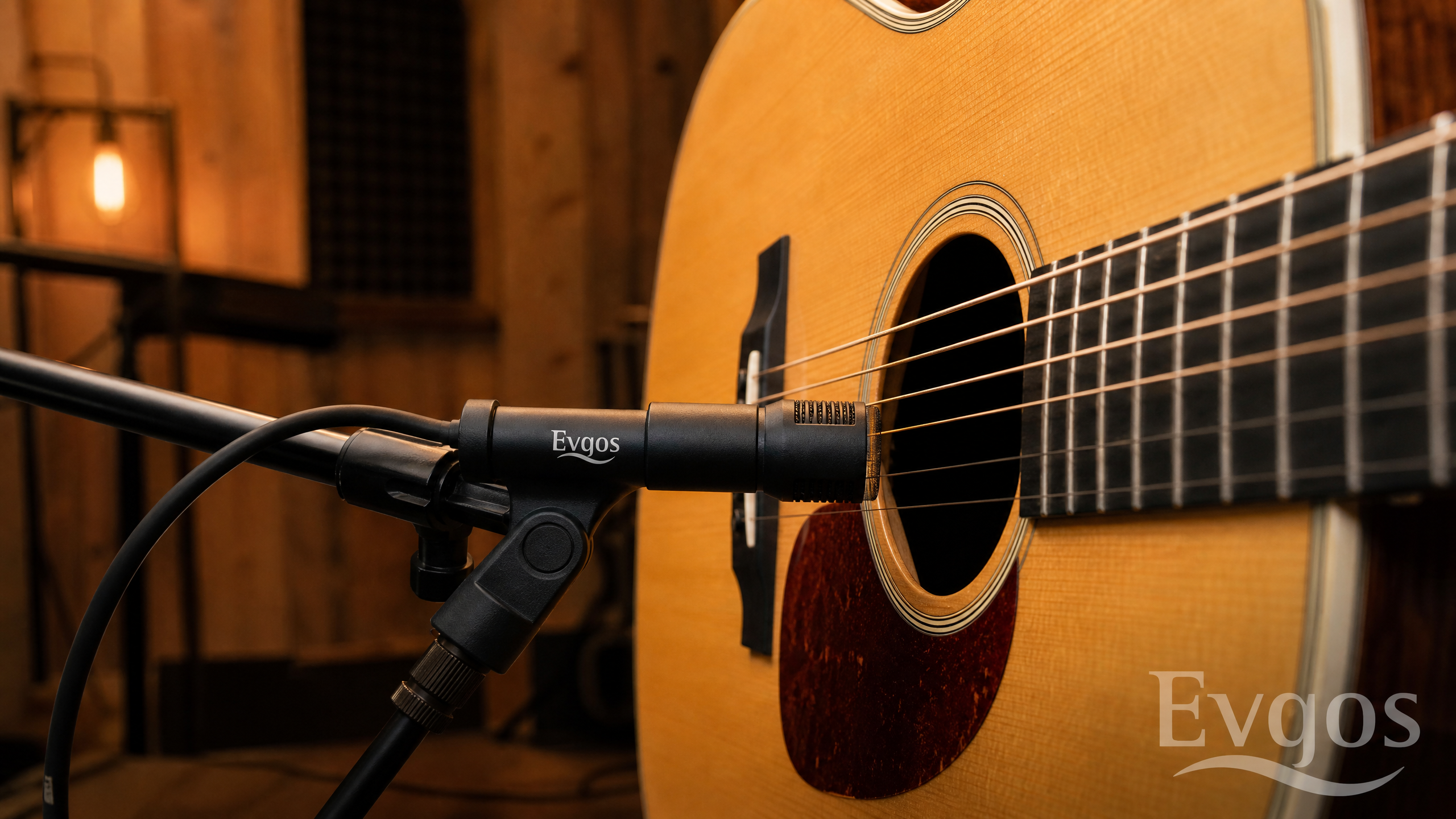 Evgos Acoustic Instrument Microphone